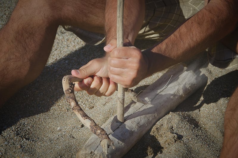 Survival Strategies